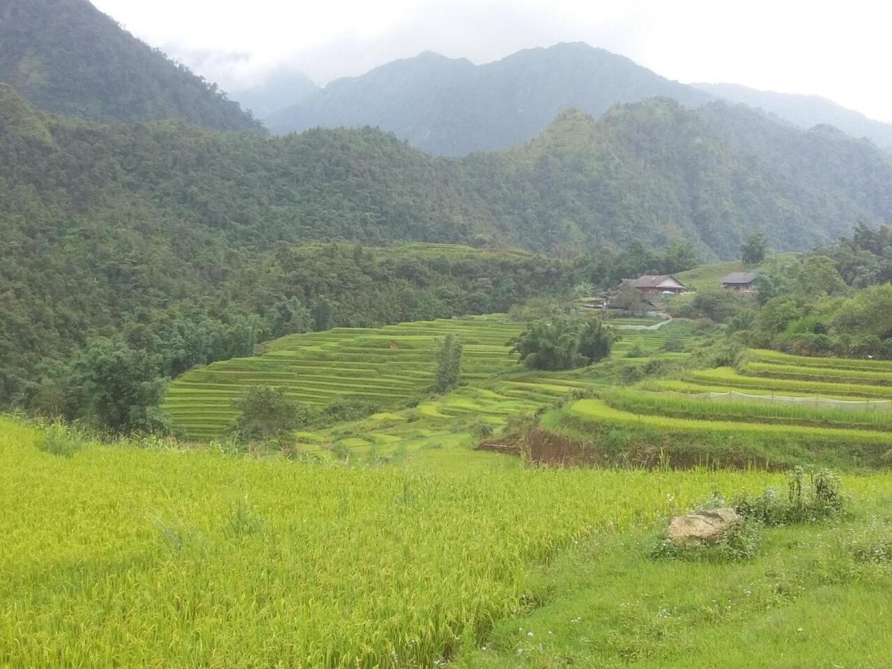 Chiende Homestay Sapa Exterior foto